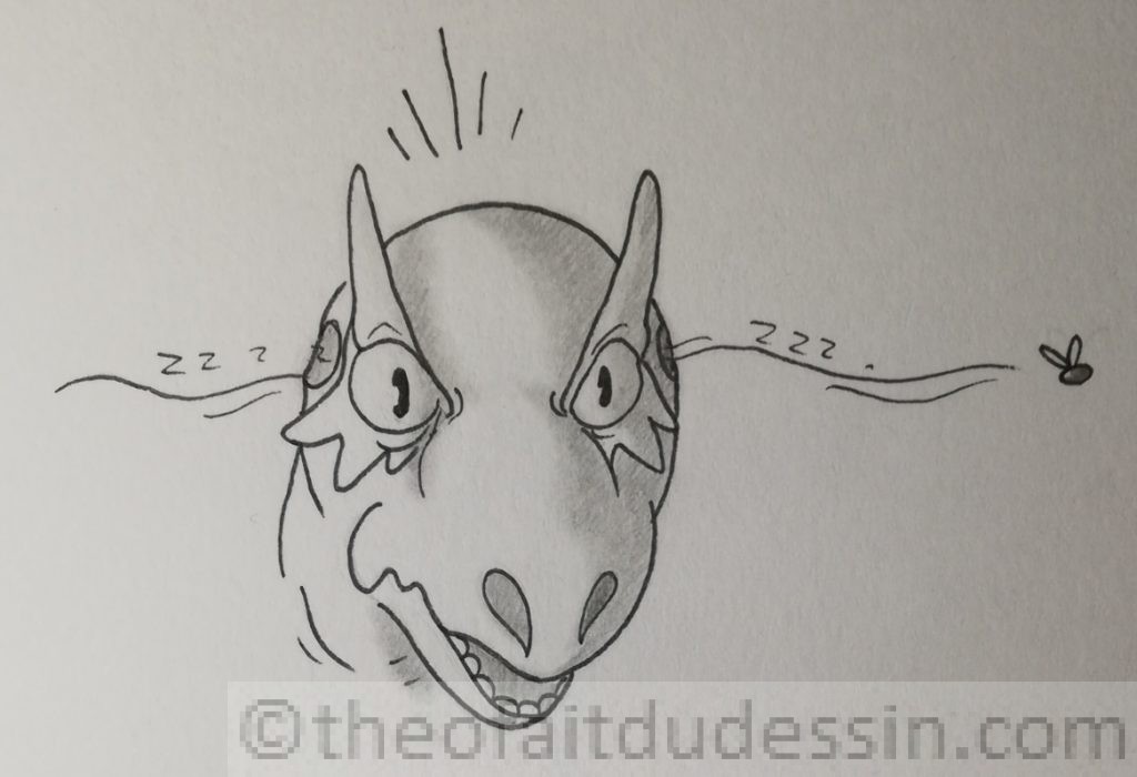 Tidon et une mouche