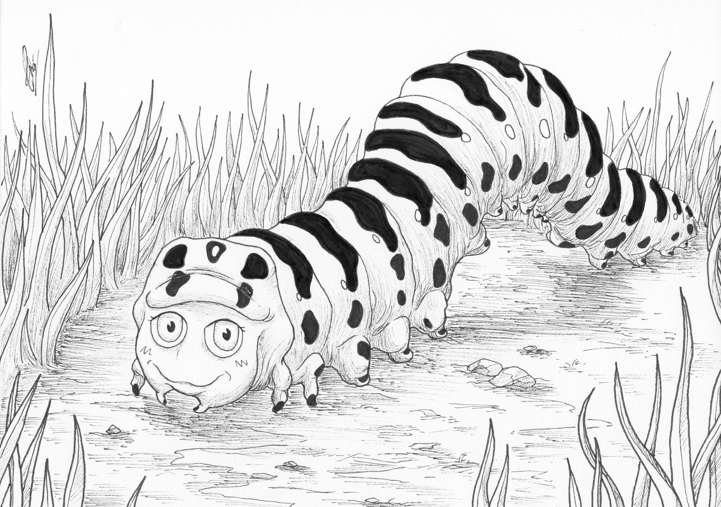 Ramper