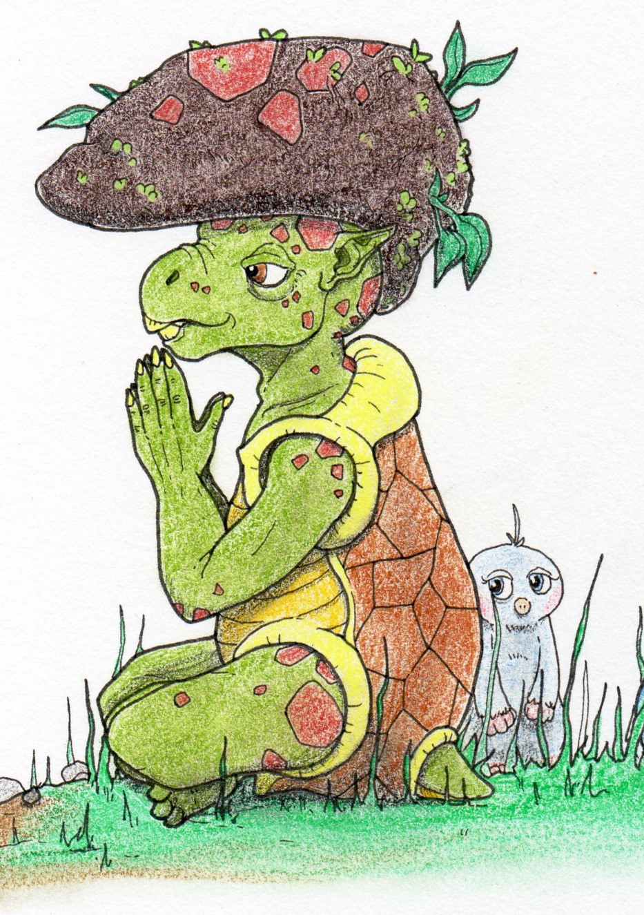 Sage tortue et pioupious paresseux – Image 2
