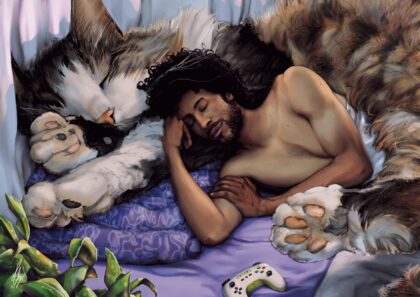 Sleeping cat