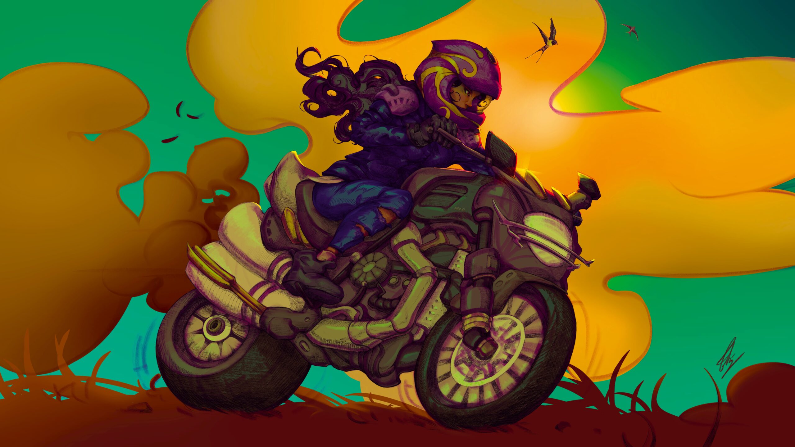 The wild ride