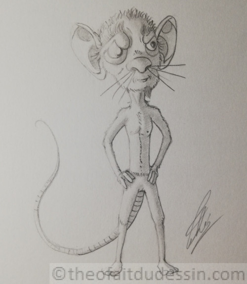 Souris à grosse tête