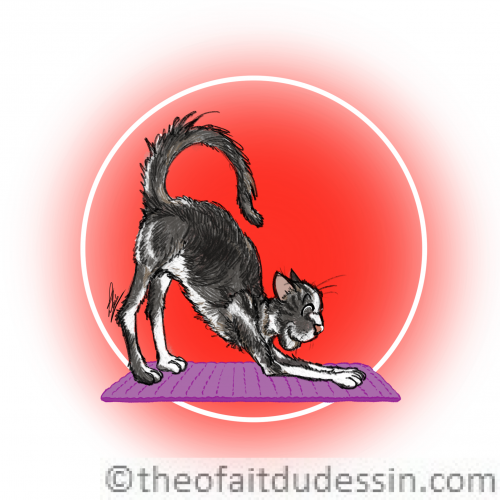 Chat Yoga