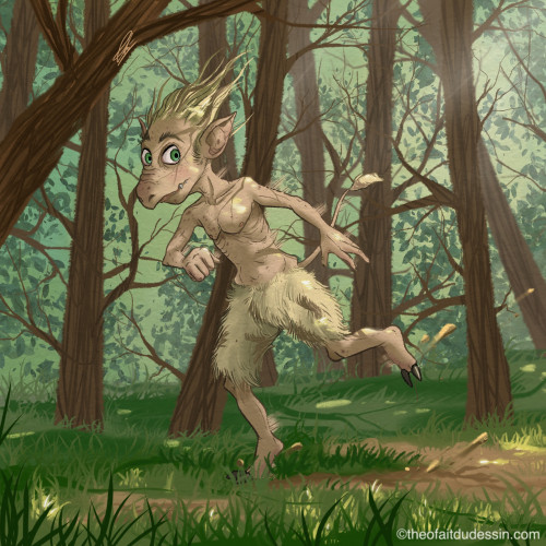 Course dans les bois