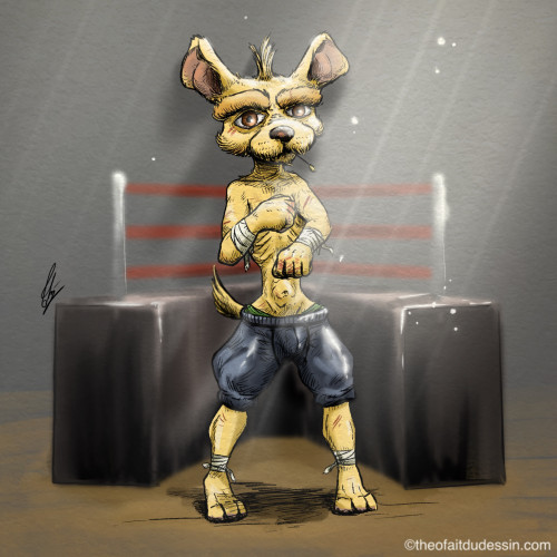 Dog Fighter