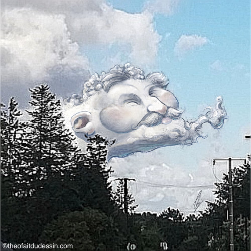 Bouffi élégant
