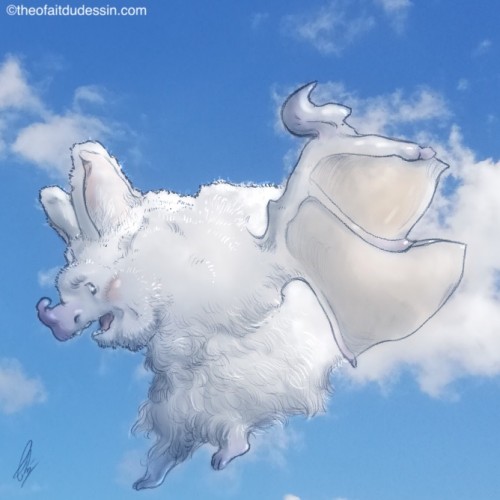 Chauve-souris rondouillette