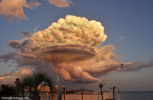 Tortue monde