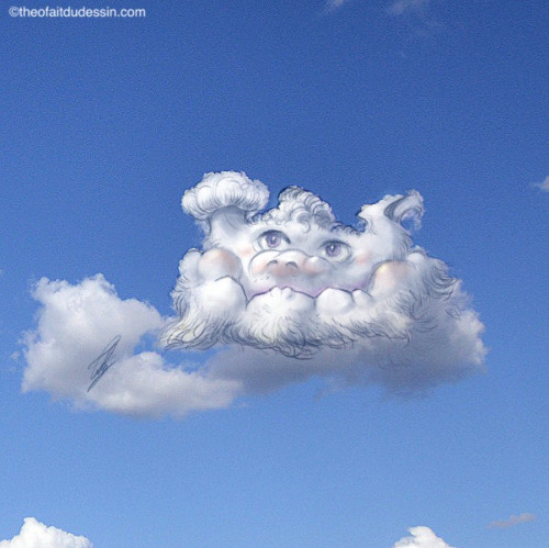 Dragon dodu mignon