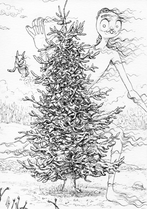Sapin
