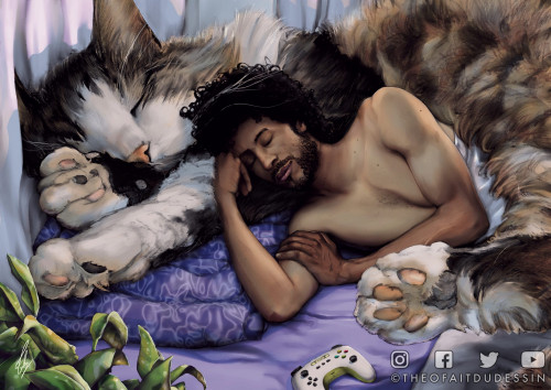 Sleeping Cat